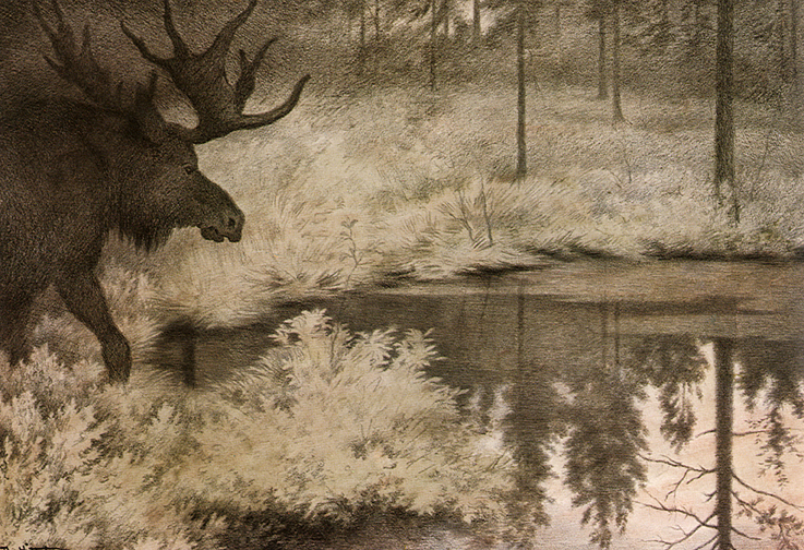 I Came to the Secret Springs and Lakes Where Mooses Slake Their Thurst, 1900